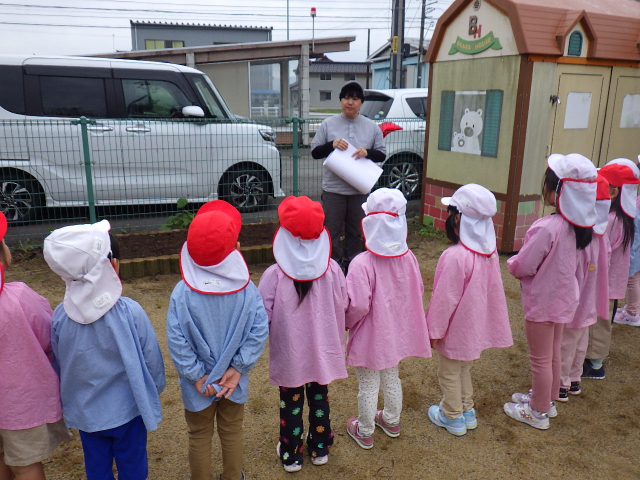 １１月の最新情報（玉ねぎの苗植え・スイートポテト作り・生活発表会・０、１歳児保育参観・戸出東部小学校との交流会）を更新しました。